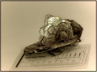 /album/galeria42/muscovita-jpg/